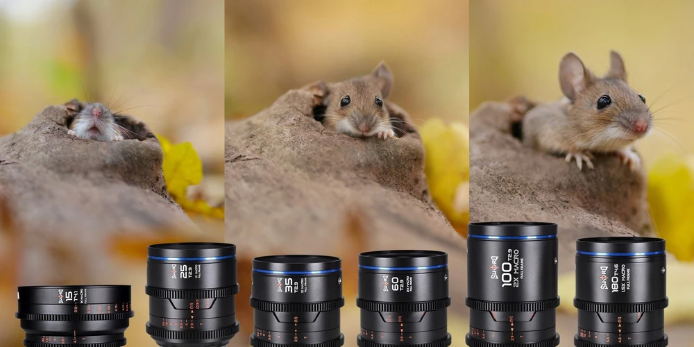 Objektyvas Obiektyvas Laowa Sword 15 mm T4,1 1x Macro Cine, skirtas Arri PL