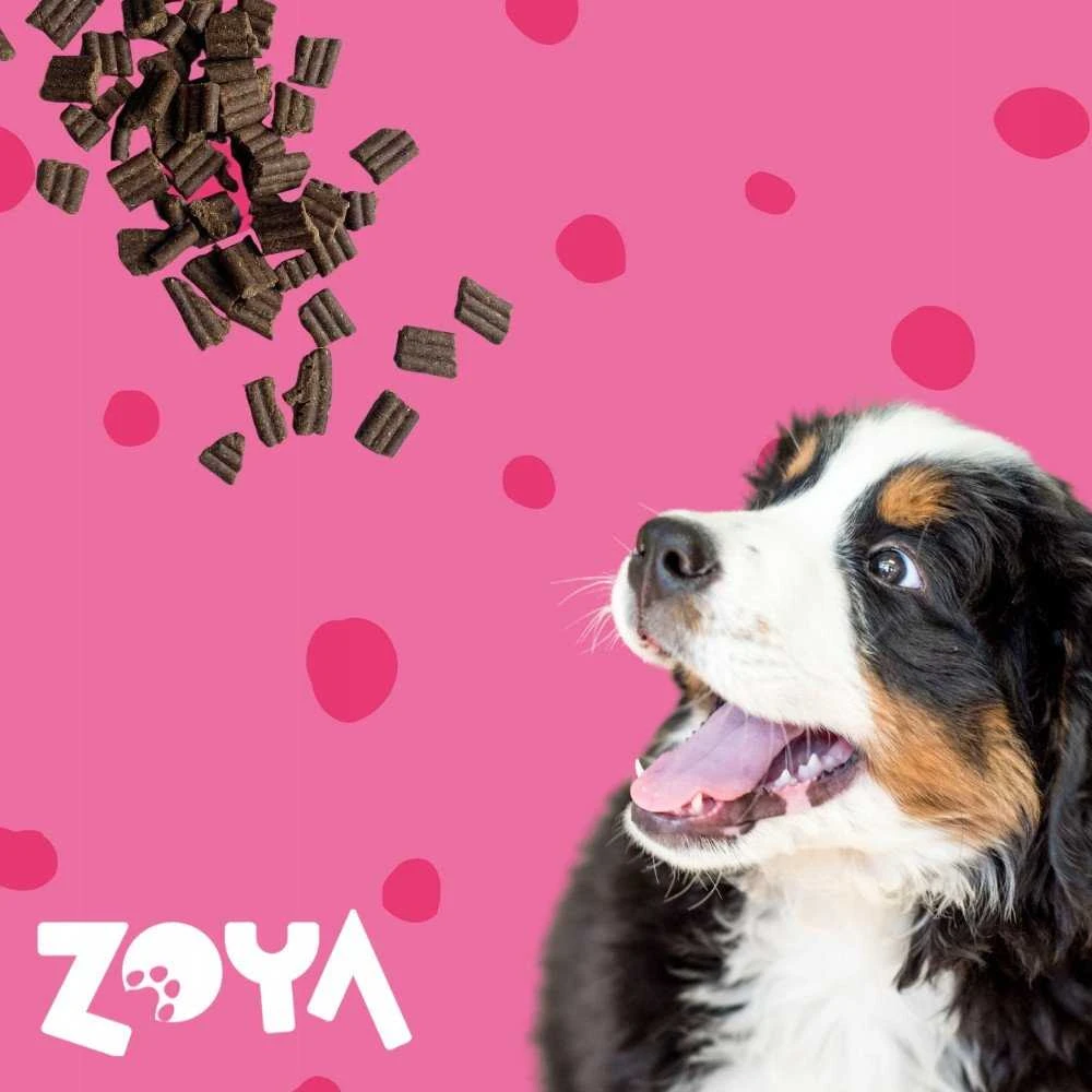 Šunų Maistas - ZOYA ColdPRO Jautienos Sausas Maistas 9kg Be Glitimo Jautriems Skrandžiams