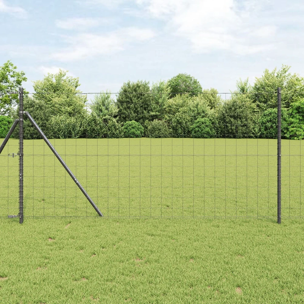 Euro tvoros žemės tvirtinimas 25 x 1 m PVC dengtas plienas