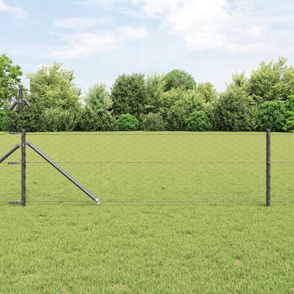 Hexagonal Fence with Post 100 x 0,6 m PVC dengtas plienas Pilka
