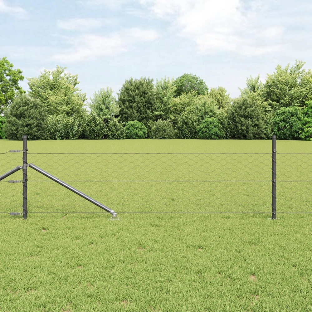 Hexagonal Fence with Post 25 x 0,8 m PVC dengtas plienas Pilka
