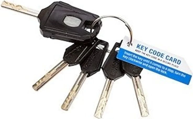 „OnGuard Link“ plokščių užraktas „Revolver X4P“ (ONG-8129)