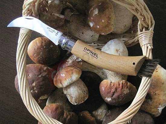 Opinel Nr. 8 peilis grybavimui