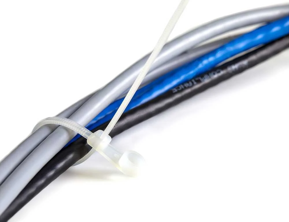 Organizatorius StarTech 100 plastikinių užtrauktukų pakuotė