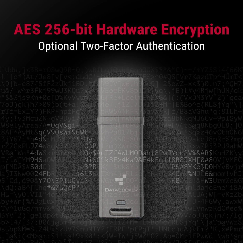 Origins DATALOCKER 4GB DL GO 256BIT - AES XTS USB-STICK FIPS 197 MFA