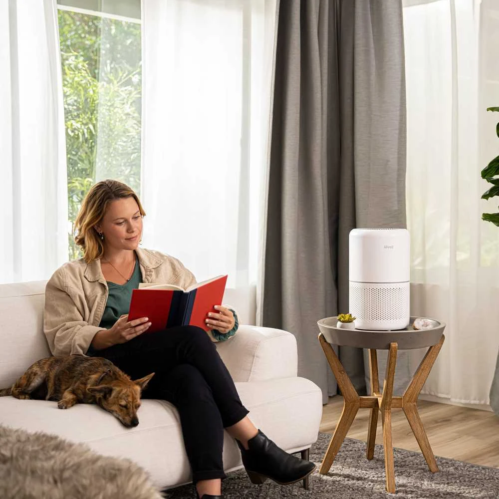 Levoit Core® 300S Smart Oro valytuvas