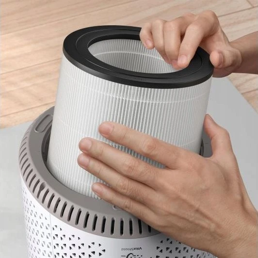 Oro valytuvas Philips 600i serija AC0650/10