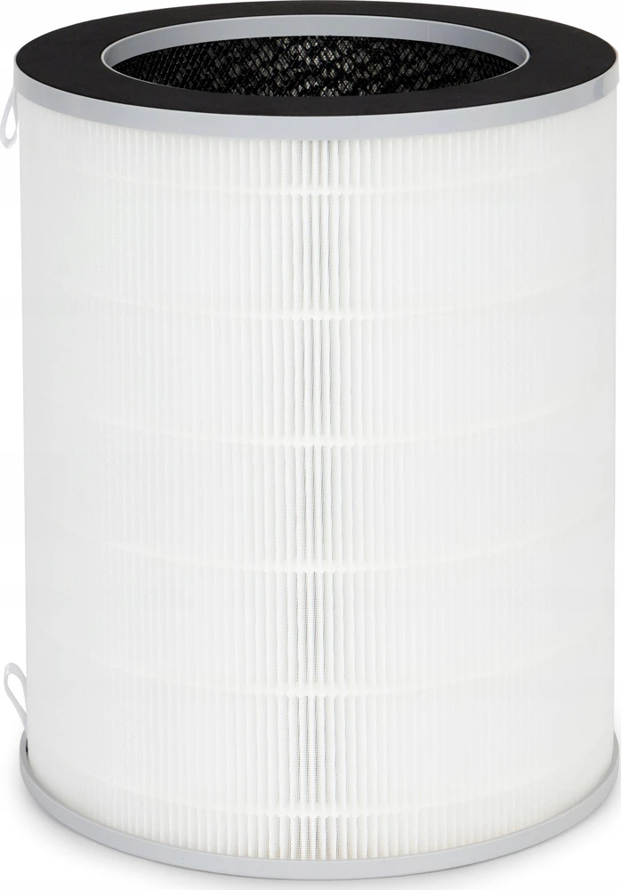 Webber AP9650 oro valytuvas