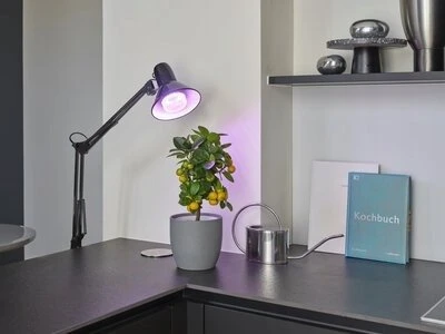 Lemputė Osram LED, E27, 10 W, 330 lm