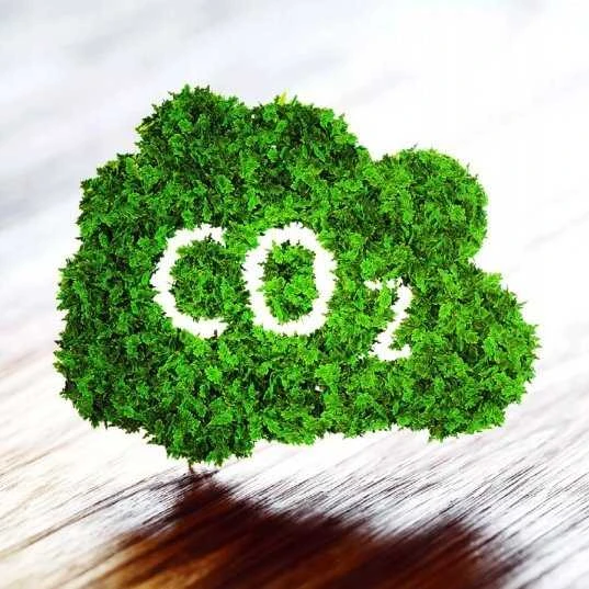 CO2 užrašas iš žalių lapų