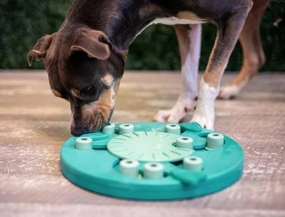 Nina Ottosen Nina Ottosson Dog Worker interaktyvus žaislas šunims, žalias