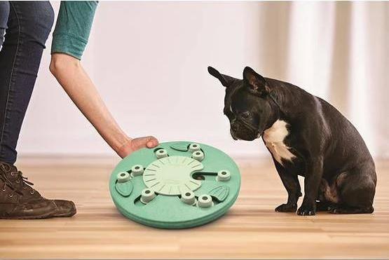 Nina Ottosen Nina Ottosson Dog Worker interaktyvus žaislas šunims, žalias