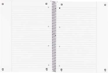 Oxford Oxford Collegeblock A4+220x295mm 80 Bl. Liniert Rand baltas R