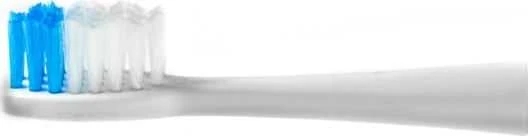 Dantų šepetėlis Camry CR 2158.1 Šepetėlių galvutės, skirtos cr 2158