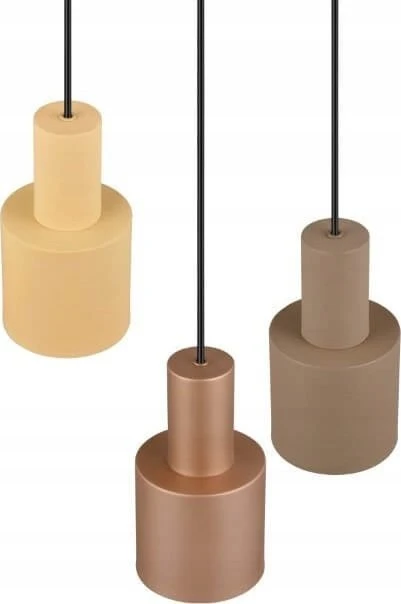 Pakabinamas šviestuvas Šviestuvas lubinis Trio AGUDO, 40 W, E27, 319430317