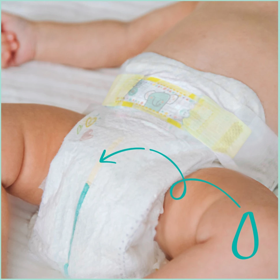 Pampers Premium Care 3 60 vnt