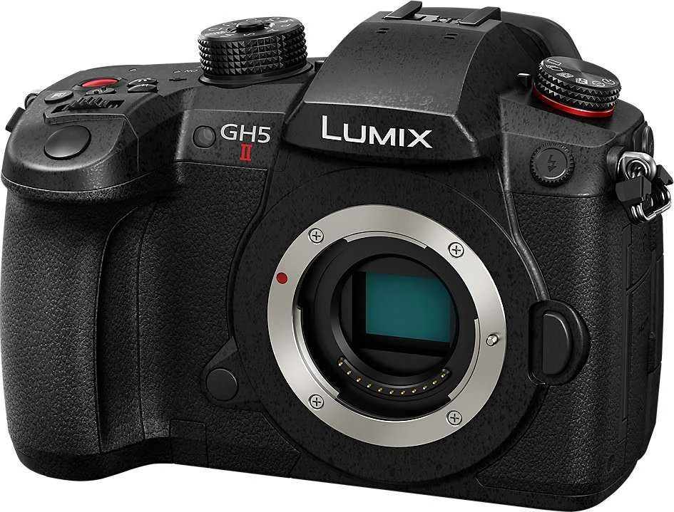 Panasonic Lumix G GH5 II (DC-GH5M2L) + Panasonic LEICA DG VARIO-ELMARIT 12-60mm / F2.8-4.0 ASPH. / POWER OIS (H-ES12060)