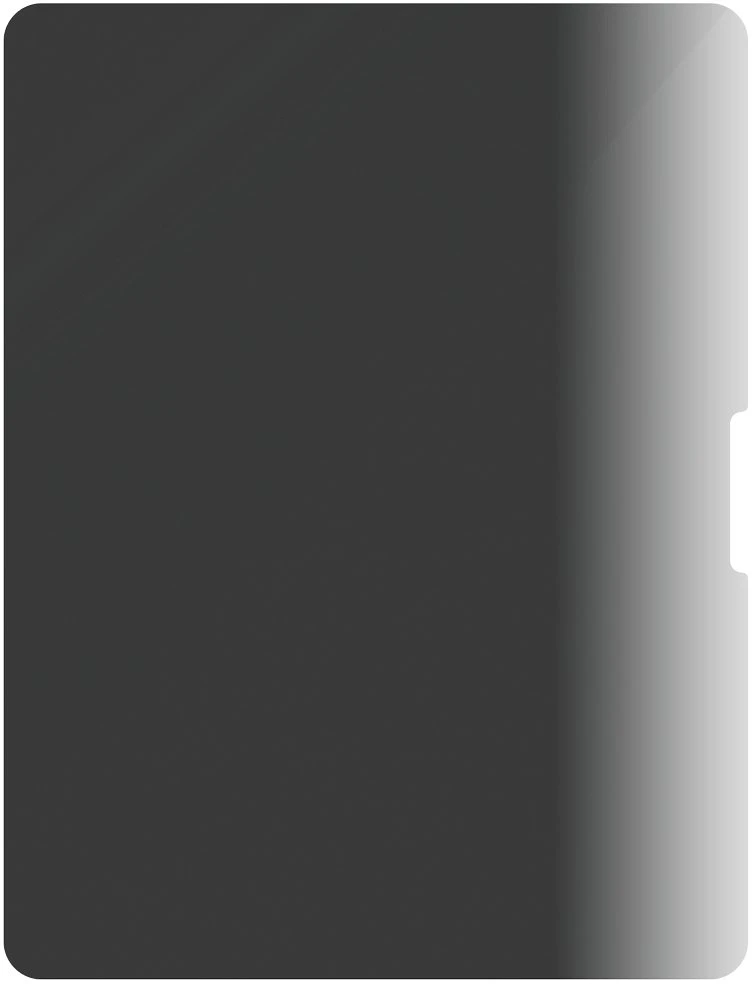 Panzer Glass „PanzerGlass“ 4 krypčių privatumo ekrano apsauga „iPad Air 13 / 13 Pro“