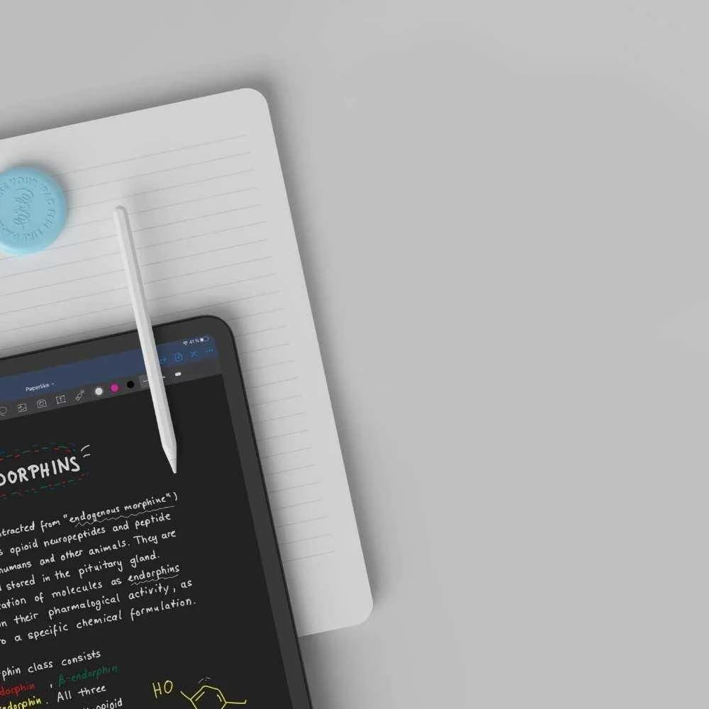 Paperlike „Paper-like“ ekrano apsauga 2.1 – „iPad Pro 12.9“