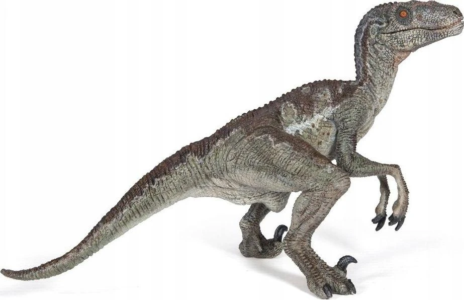 Papo figūrėlė Velociraptorius