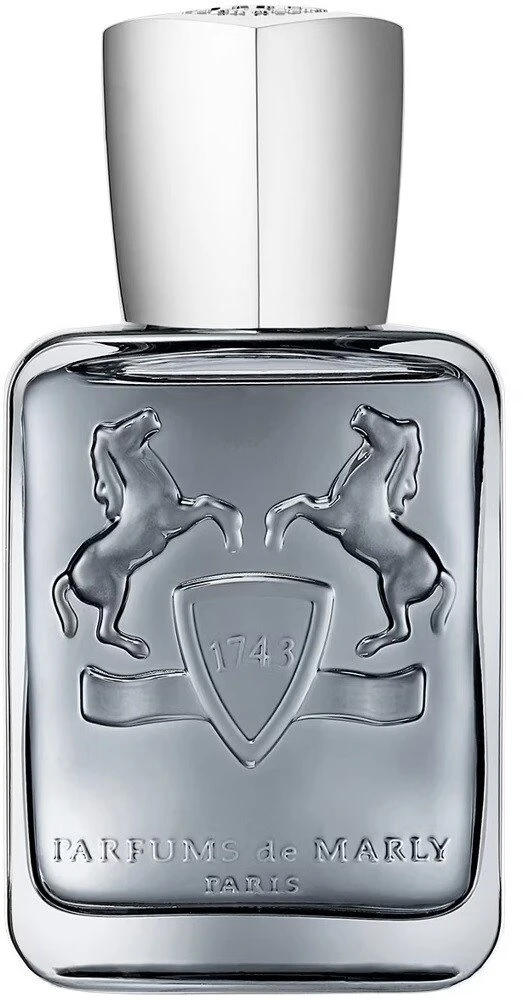 Parfums de Marly Castley EDP parfumuotas vanduo vyrams, 75 ml