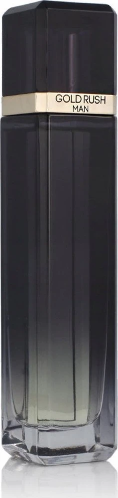 Paris Hilton Gold Rush Man EDT tualetinis vanduo vyrams, 100 ml