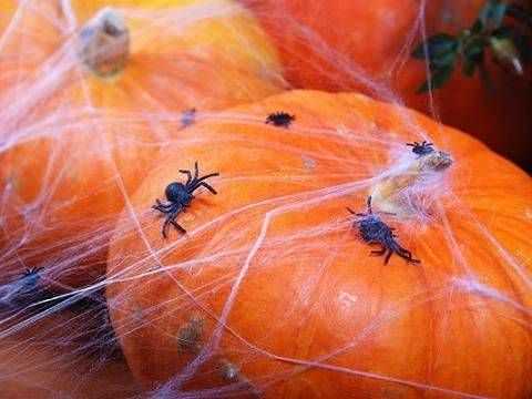 PartyDeco Juodi plastikiniai voriukai, 10vnt
