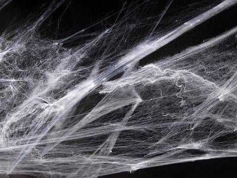 Party Deco Voratinklis „Halloween“, baltas, 60 g
