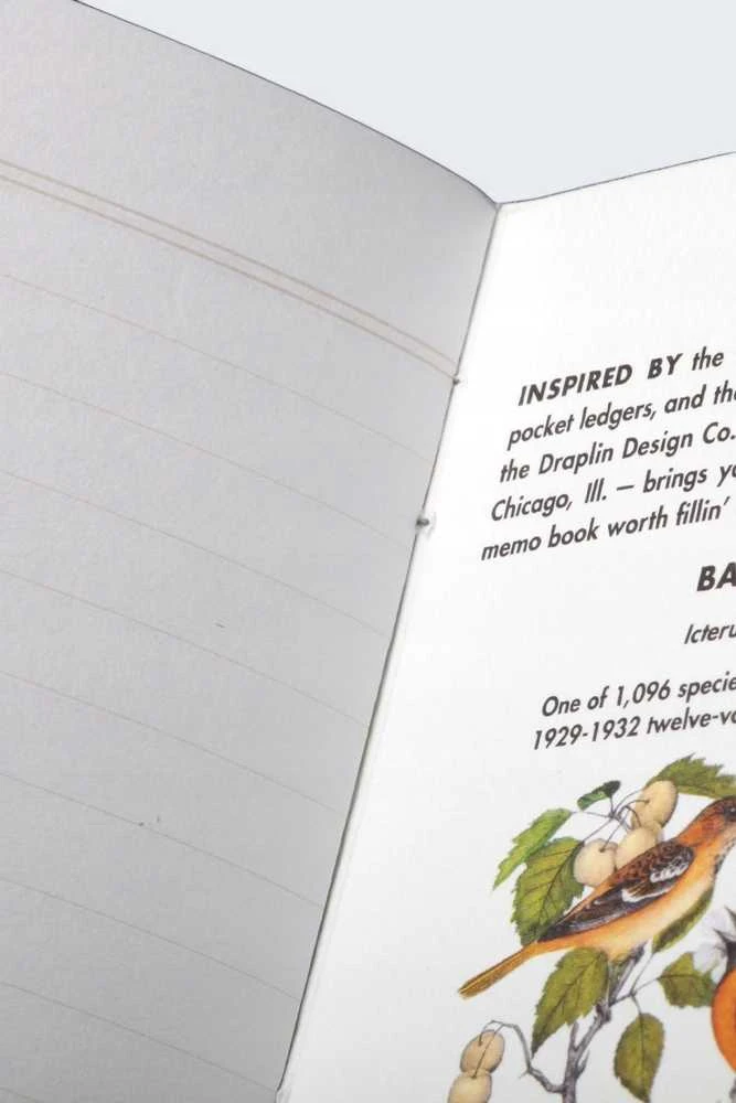 Field Notes Pastabos Šiaurės Amerikos paukščiai ir medžiai
