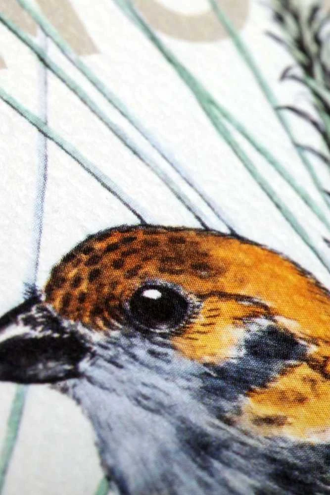 Field Notes Pastabos Šiaurės Amerikos paukščiai ir medžiai