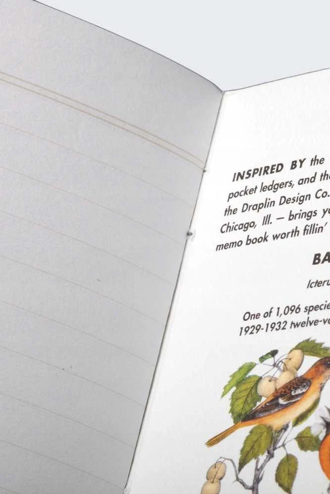 Field Notes Pastabos Šiaurės Amerikos paukščiai ir medžiai