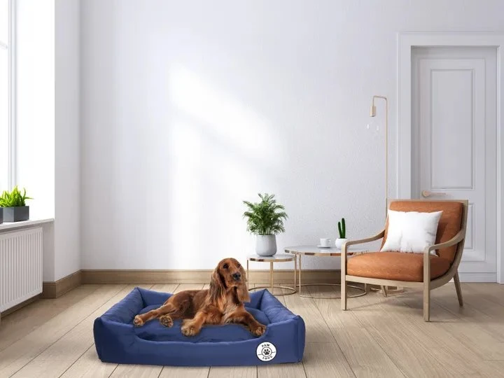 Paw Love - minkštas čiužinukas augintiniams (Large) - Morski mėlyna