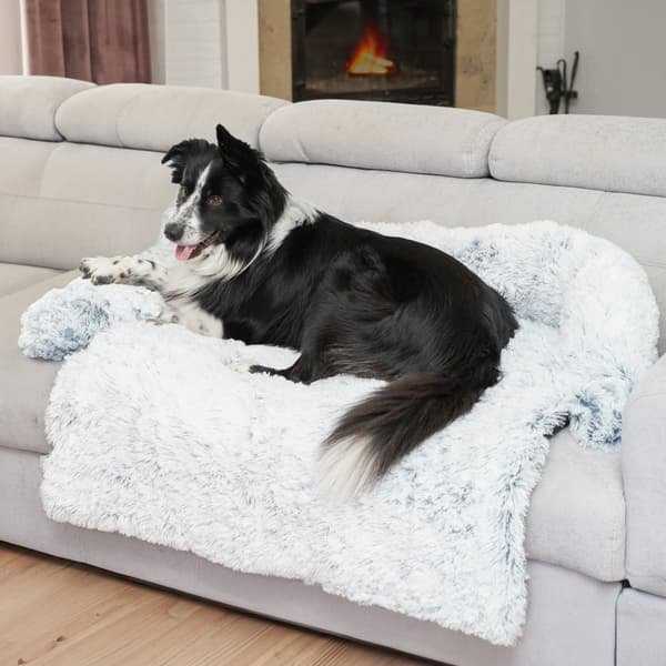 Paw Paw Love - Hundekurv (Medium) - Blå
