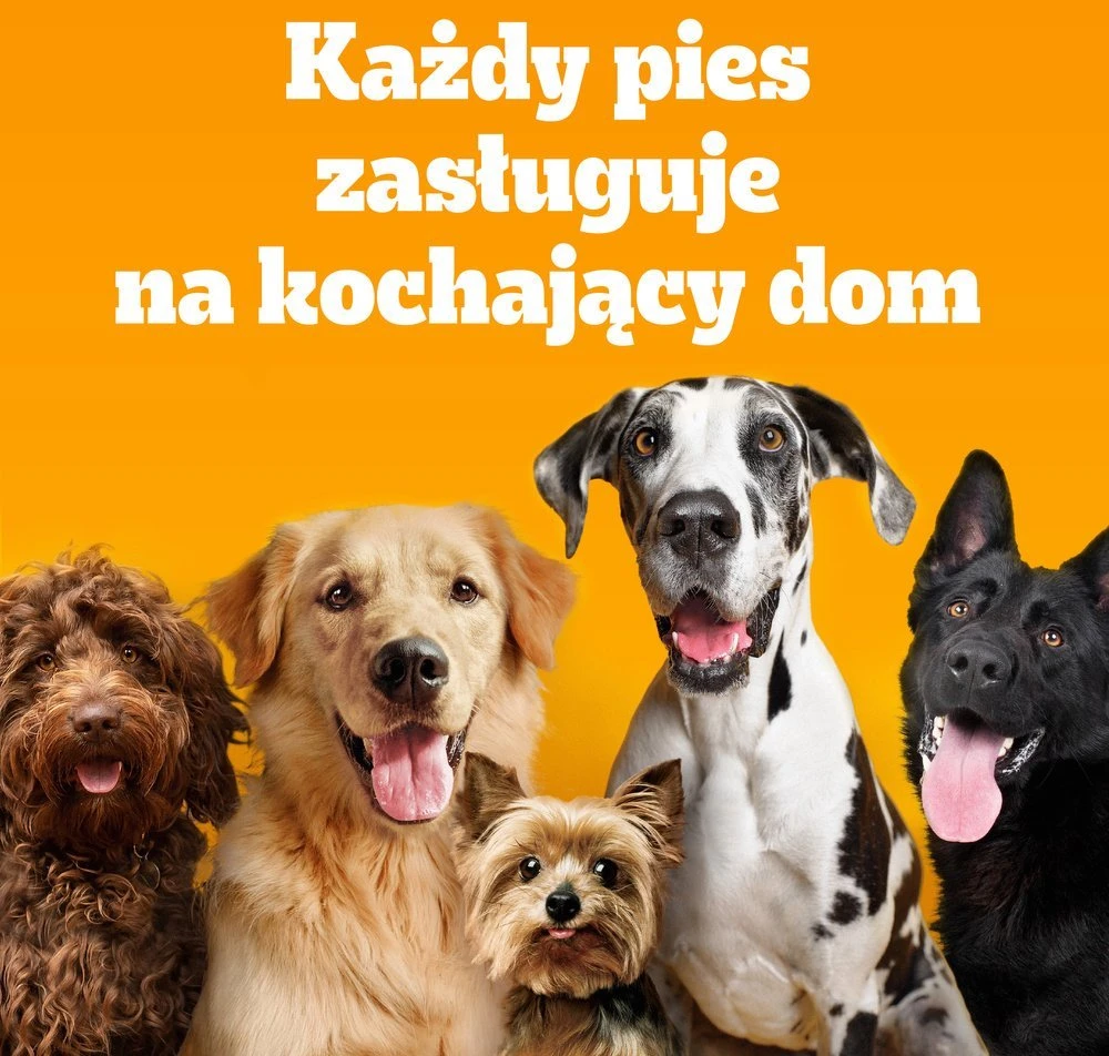 PEDIGREE Professional suaugusių šunų sausas ėdalas su vištiena, 12 kg