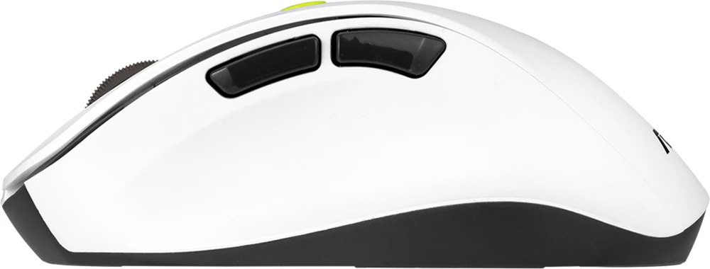 Asus Pelė | MD105 | Wireless | Bluetooth, 2.4GHz | Volt Žalias
