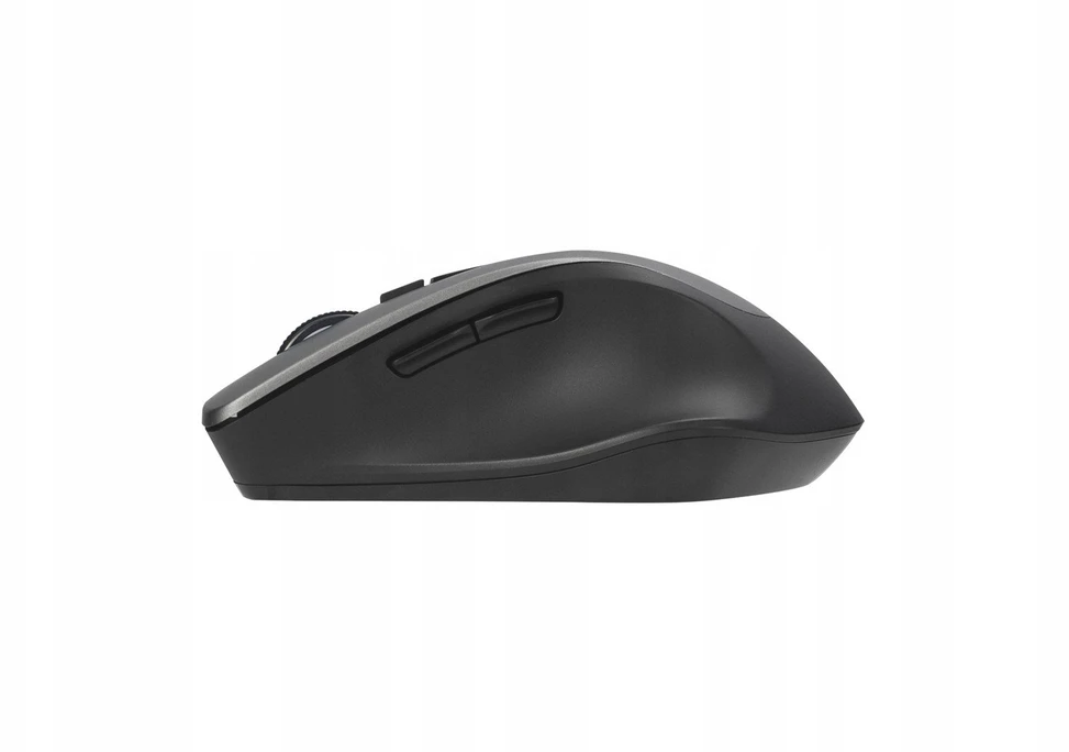 Asus Pelė | WT425 | Wireless | Glossy Baltas