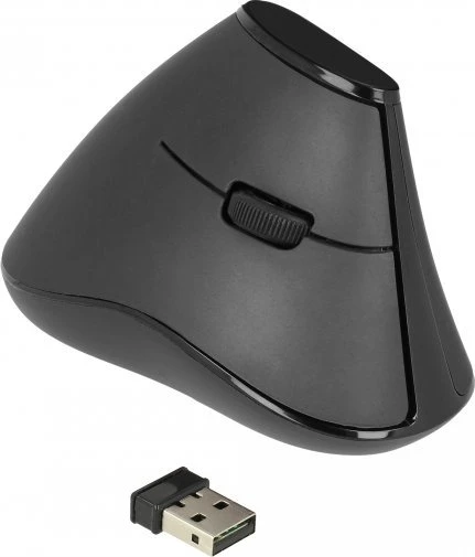 Delock Ergonomiška vertikali optinė 5 mygtukų pelė 2,4 GHz belaidė – tyli
