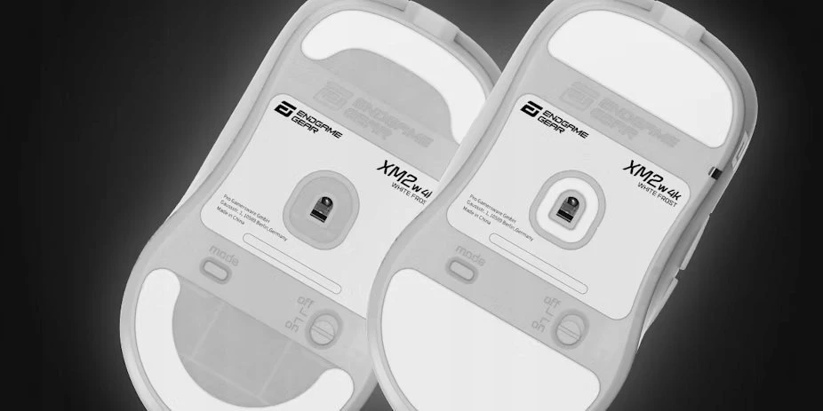 Endgame Gear XM2w 4k belaidė žaidimų pelė, belaidė – Baltas Frost