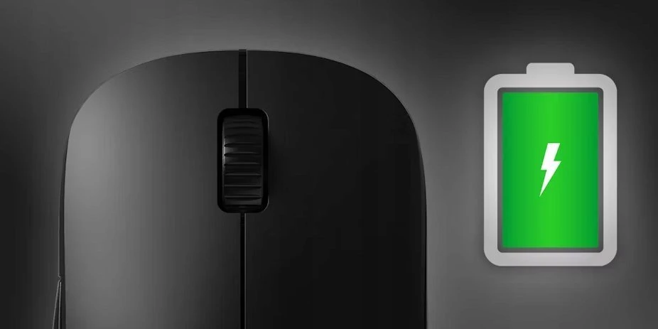 Endgame Gear XM2w Wireless 4K Juodas (Juoda) Belaidė Žaidimų Pelė