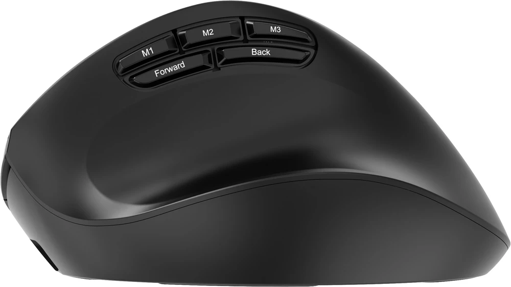 Gembird MUSW3-9B-01 Triple-mode wireless ergonomic pelė (2.4G + BT + USB), 2400 DPI, 9-button, juodas