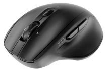 Gembird MUSW2-6B-02 Dual-mode belaidė pelė (2.4G + BT), 2400 DPI, 6-button, juodas