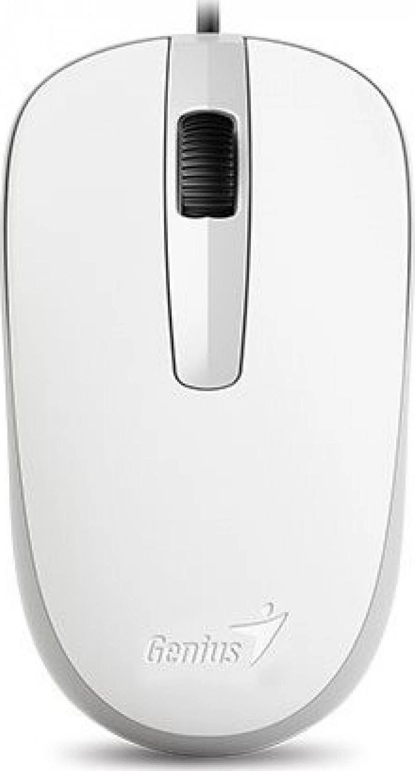 KYE 31010105107 Genius optinė pelė su laidu DX-120, Baltas