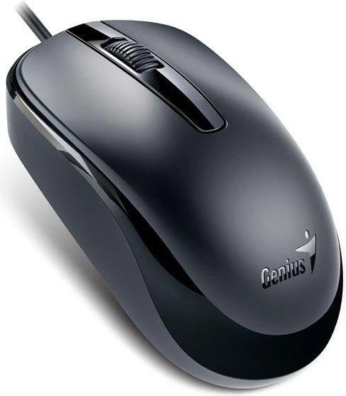 Genius DX-120 pelė (31010105106)