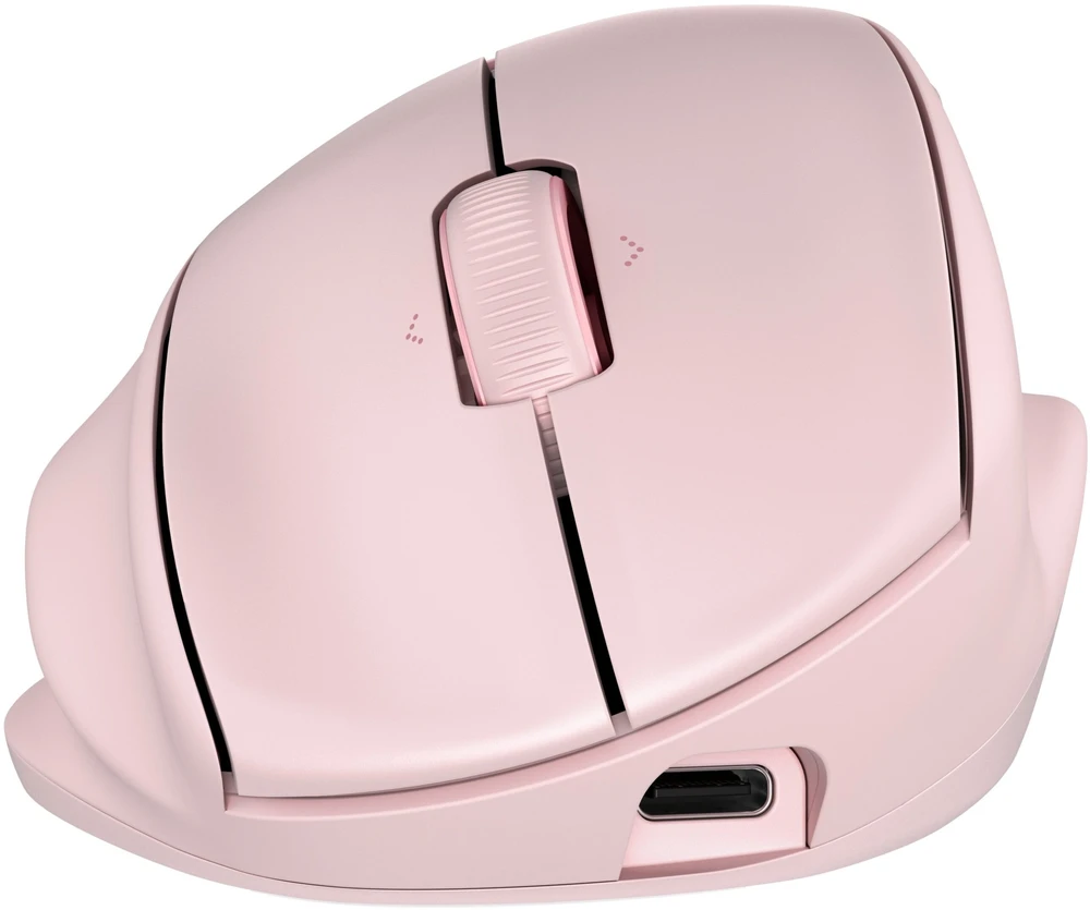 Hewlett Packard (HP) HP Tilt Ergo PNK MSE 720M EMEA-INTL EN L pelė dešinei rankai RF belaidė + Bluetooth 6000 DPI