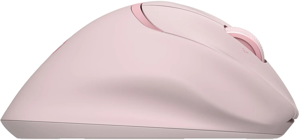 Hewlett Packard (HP) HP Tilt Ergo PNK MSE 720M EMEA-INTL EN L pelė dešinei rankai RF belaidė + Bluetooth 6000 DPI