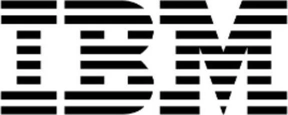 Pelė IBM Optinė 3 Button Usb (89Y1275)
