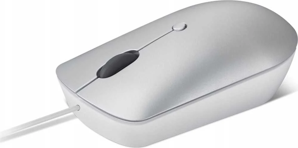 Pelė Lenovo 540 Compact USB-C su laidu pilka (GY51D20877)