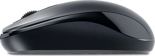 Genius DX-110 Pelė su laidu, juoda, 1200DPI, USB-C