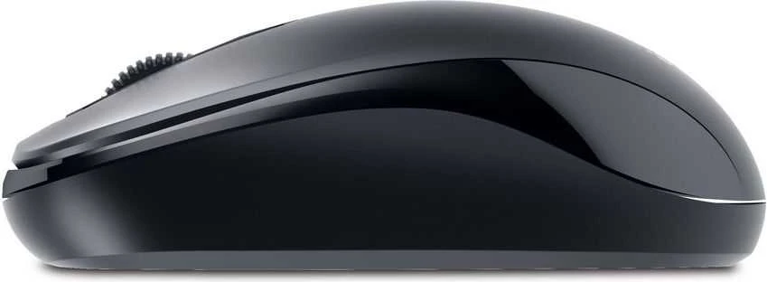 Pelės Genius DX- 110 (3101016100)
