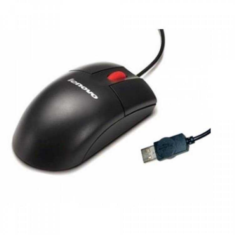Pelė IBM Optinė 3 Button Usb (41U3012)